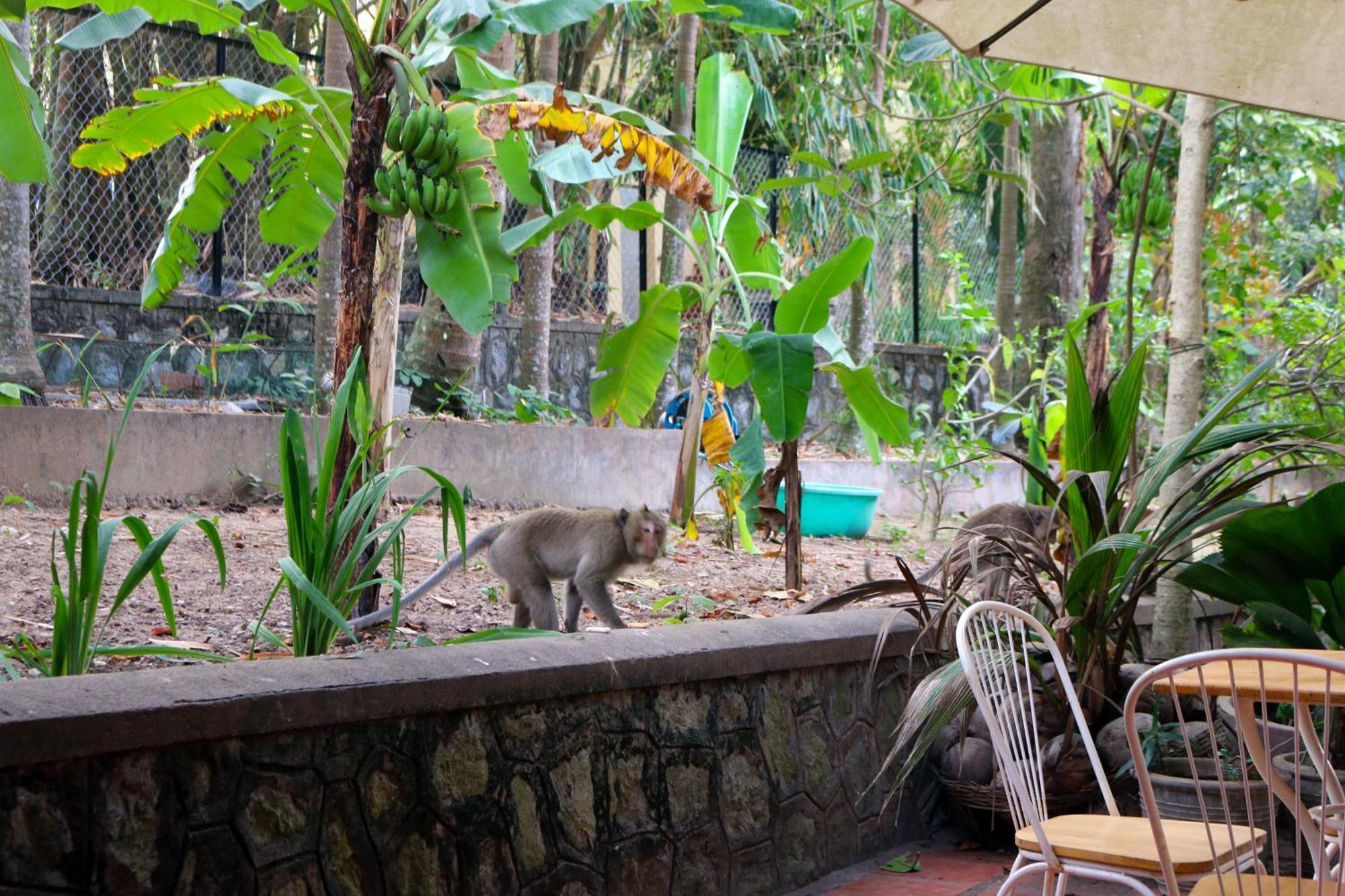Casa Kep Hotel Exterior photo